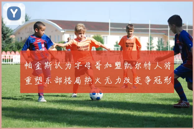 帕金斯认为字母哥加盟凯尔特人将重塑东部格局热火无力改变争冠形势