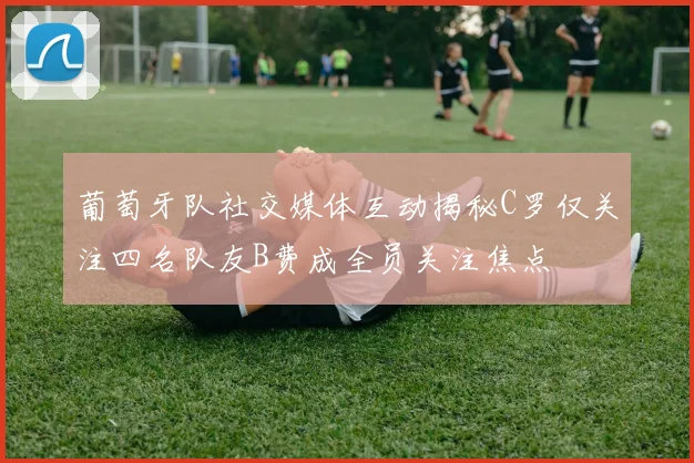 葡萄牙队社交媒体互动揭秘C罗仅关注四名队友B费成全员关注焦点
